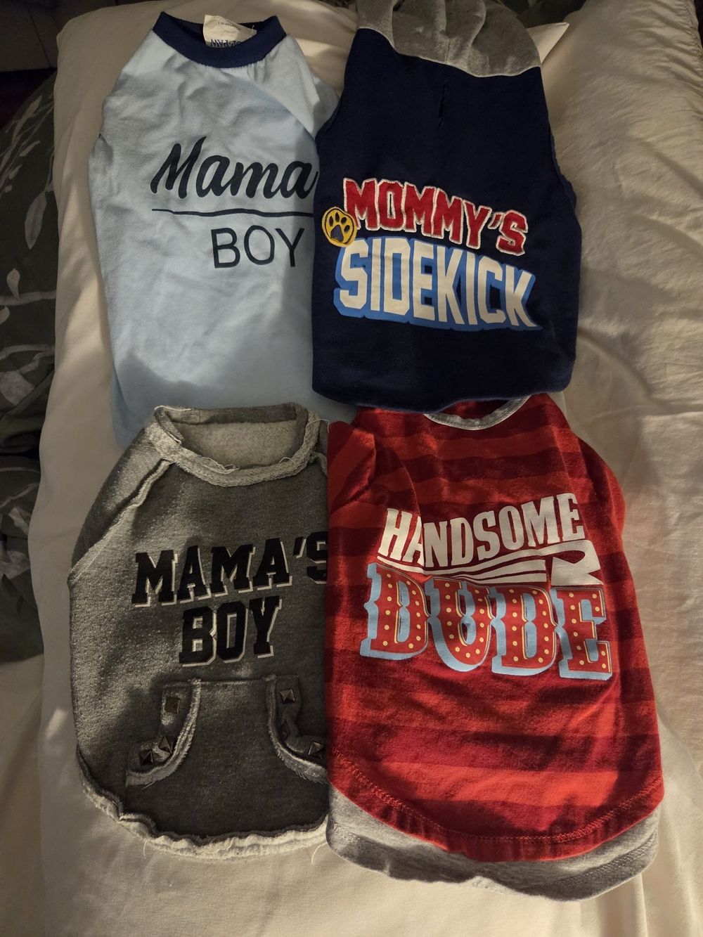 Set of 4 Boys' Graphic Dog Shirts - Blue, Navy, Gray, Red
